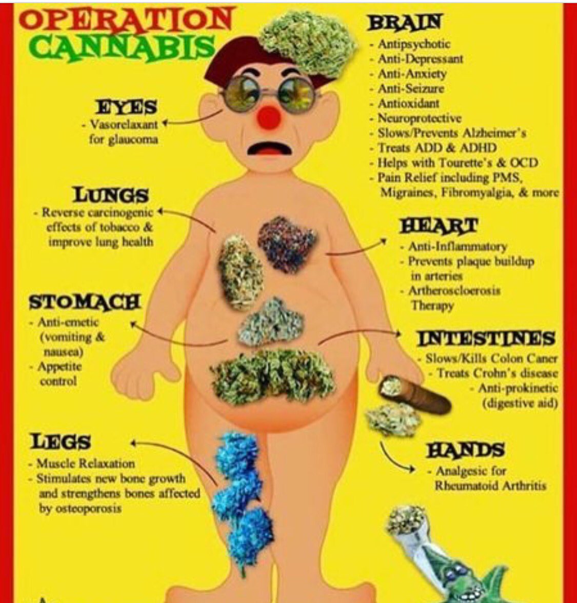 Cannaboos's tweet photo. https://t.co/TEHyhwoExj