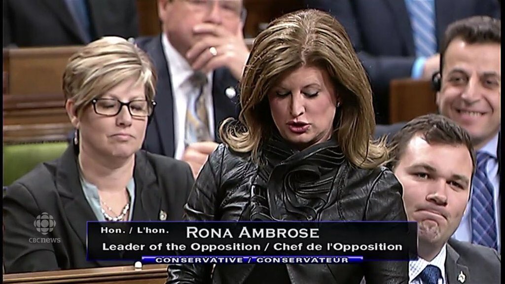 61_alvin's tweet photo. @RobSilver @ProudGrannyCdn @RonaAmbrose @CTVNews https://t.co/dekRqdl7sC