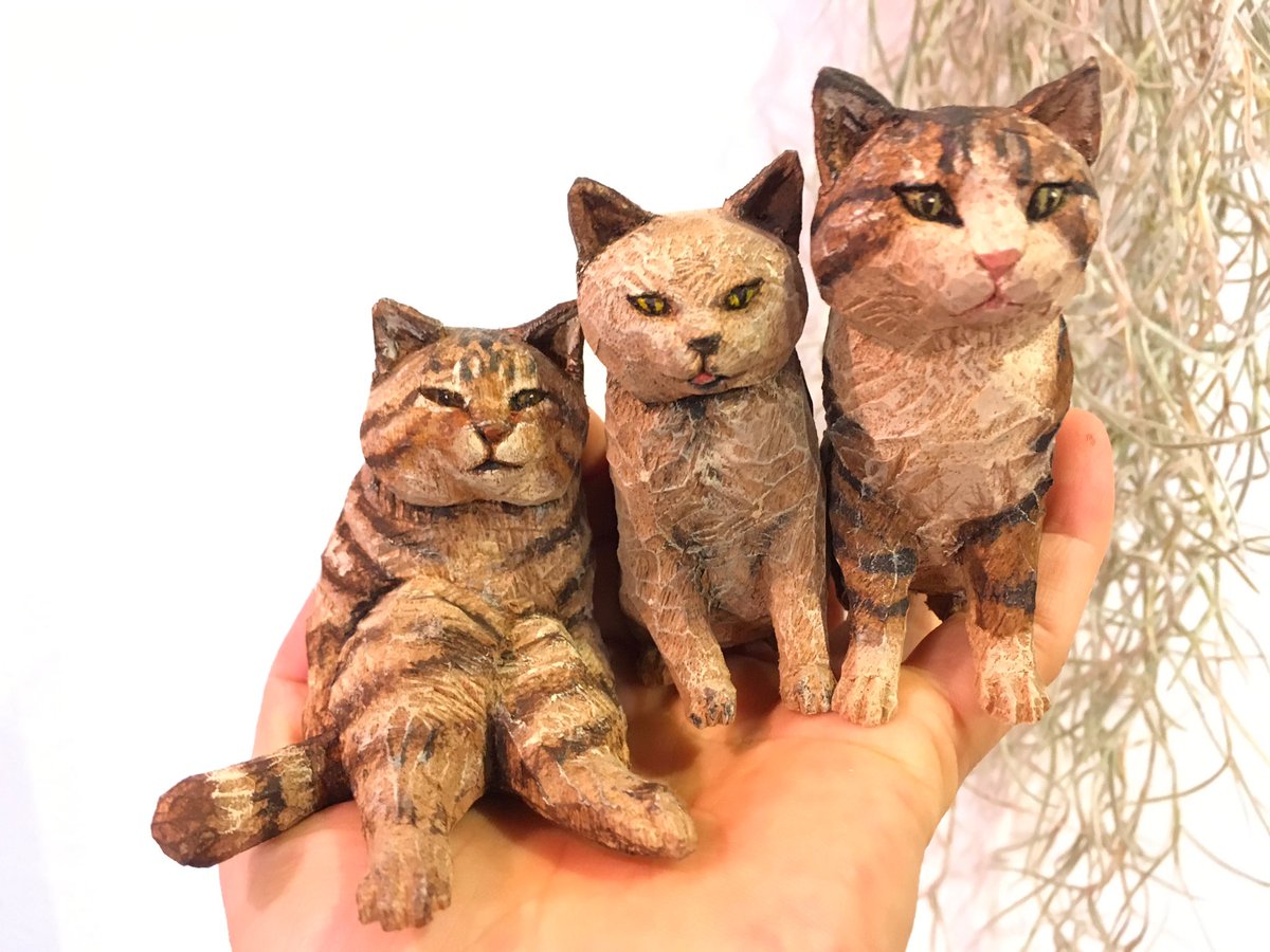 hashimotomio's tweet photo. 手のひらいっぱいの猫たち https://t.co/xVlZLnnE5H