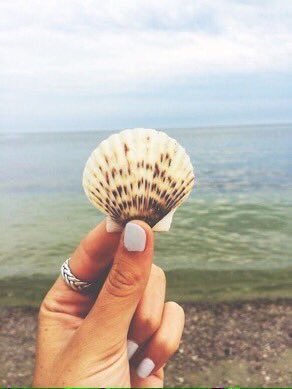 TikTonks's tweet image. The beach sounds wonderful right now