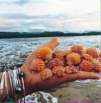 TikTonks's tweet image. The beach sounds wonderful right now