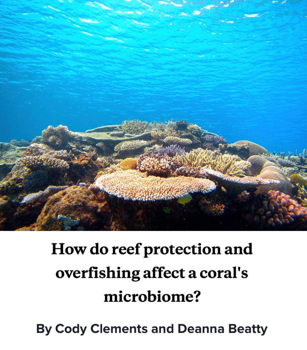 codyclements6's tweet photo. Love science and coral reefs? Check out our research, donate, and share! 😀@lets_experiment https://t.co/kME5otAi81 https://t.co/LaMIBiqqKN