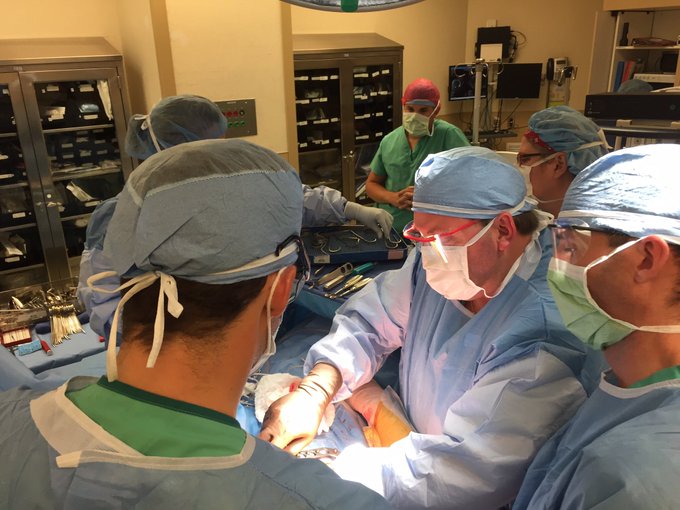 Ver imagem no Twitter