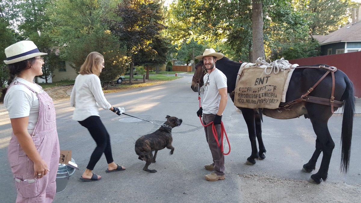 thenorthend's tweet photo. Met Matt & Richard the Mule of #CafeMule #NorthEnd #Boise #coffee delivery! Visit: https://t.co/ce8KcuGkDO https://t.co/LrBN6MblgA