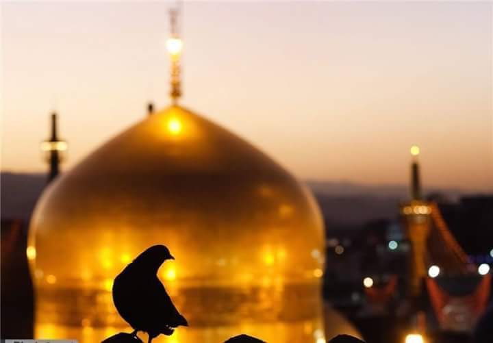 بشــرى لمـن زار بـــطوس الرضا
بالأمن في الحشر وسُكنى الجنان
أهل ترى يضمن مثل الرضا أمــراً
ولا يُوفي بـذاك الضمان ؟!