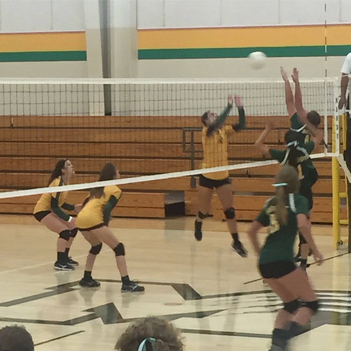 AISDBeeBoosters's tweet photo. #VarsityLadyBees &amp; #JVLadyBees VB beat the Moody Bearcats!🐝🏐🐝
#ladybeesvarsityvolleyball #makeitcount2016 https://t.co/UySrvsCN1I