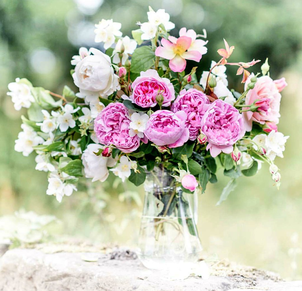 `~

يارب أجعل  لنا نصيب 
في كل شيء نحبه ..🌸💕

#حكاية_قلبي_للدعم

... ❤