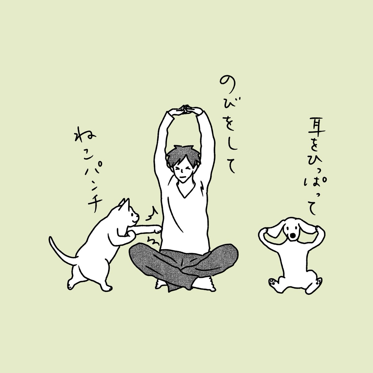 石川ともこ どんよりした日なので気合いをいれたい Illustration イラスト Cat 猫 ねこ しろさん 犬 Dog 猫パンチ ストレッチ 気合い T Co Hsovt2nsf3 Twitter