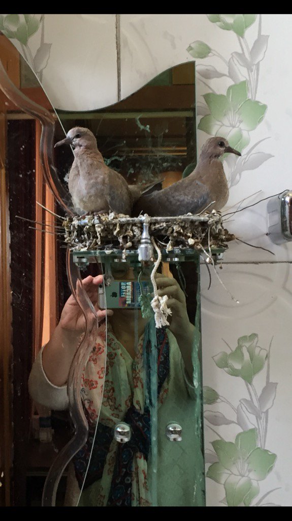 roxbox2's tweet image. @sunnysingh_nw3 #wherebooksgo