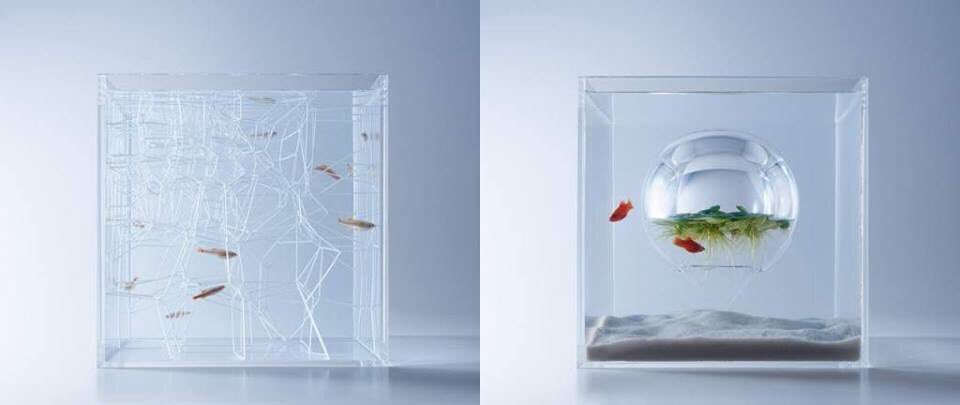 Priyoid's tweet photo. 3D Yazıcılarla Akvaryumunuzu Yeniden Tasarlayın! #akvaryum #3dprint #aquarium #fishtank #3dbaskı #design #3dyazıcı https://t.co/rwRvyxyOit