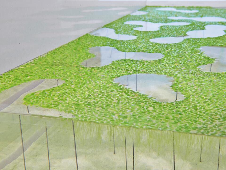 Priyoid's tweet photo. 3D Yazıcılarla Akvaryumunuzu Yeniden Tasarlayın! #akvaryum #3dprint #aquarium #fishtank #3dbaskı #design #3dyazıcı https://t.co/rwRvyxyOit