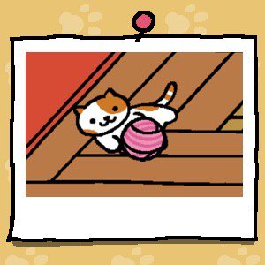 MzspellDena's tweet photo. #ねこあつめ #CatsCountdown pull yarn #DumpTrumpInMexico2016 vote @HillaryClinton #charitytuesday https://t.co/fKT68YMIXa https://t.co/BTHQuBYaQg
