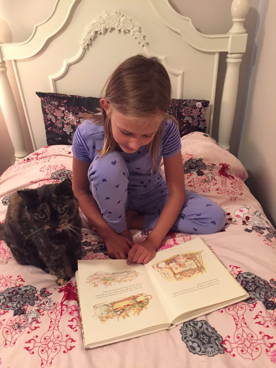 unsuspectingmom's tweet photo. @BC_SPCA - I adopted this cat sixteen years ago and she still continues to bring our family joy :) #adoptapet https://t.co/AuIl9PtV35