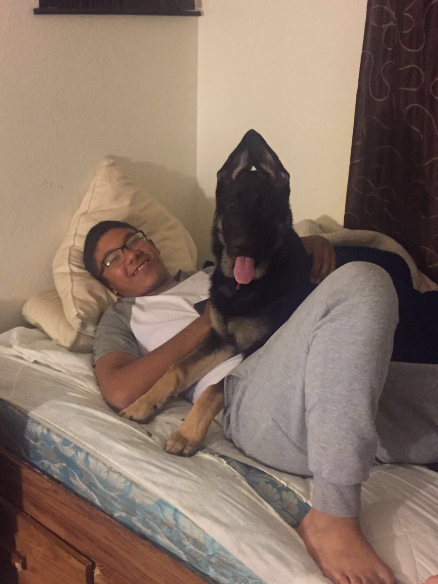 LuisValencia__'s tweet photo. Her: it's your dog or me
Me: https://t.co/9ljj7Ffgy8