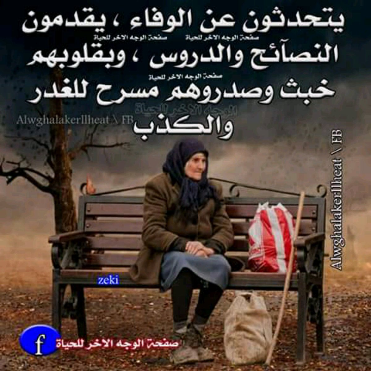 دلال فقيه (@dalalfakih) on Twitter photo 