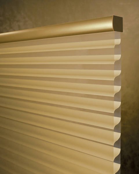 spectrablinds's tweet photo. Sheer Fabric Blinds......https://t.co/JZ0532teyW
#sheerfabricbinds #blinds #interiorproducts #homedecor #homedesign https://t.co/FYreGtsmCl