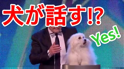話す犬 話す犬