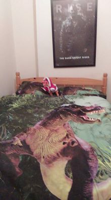 Ahhh memories of genuinely trying to get men to sleep with me while my bedroom looked like this.