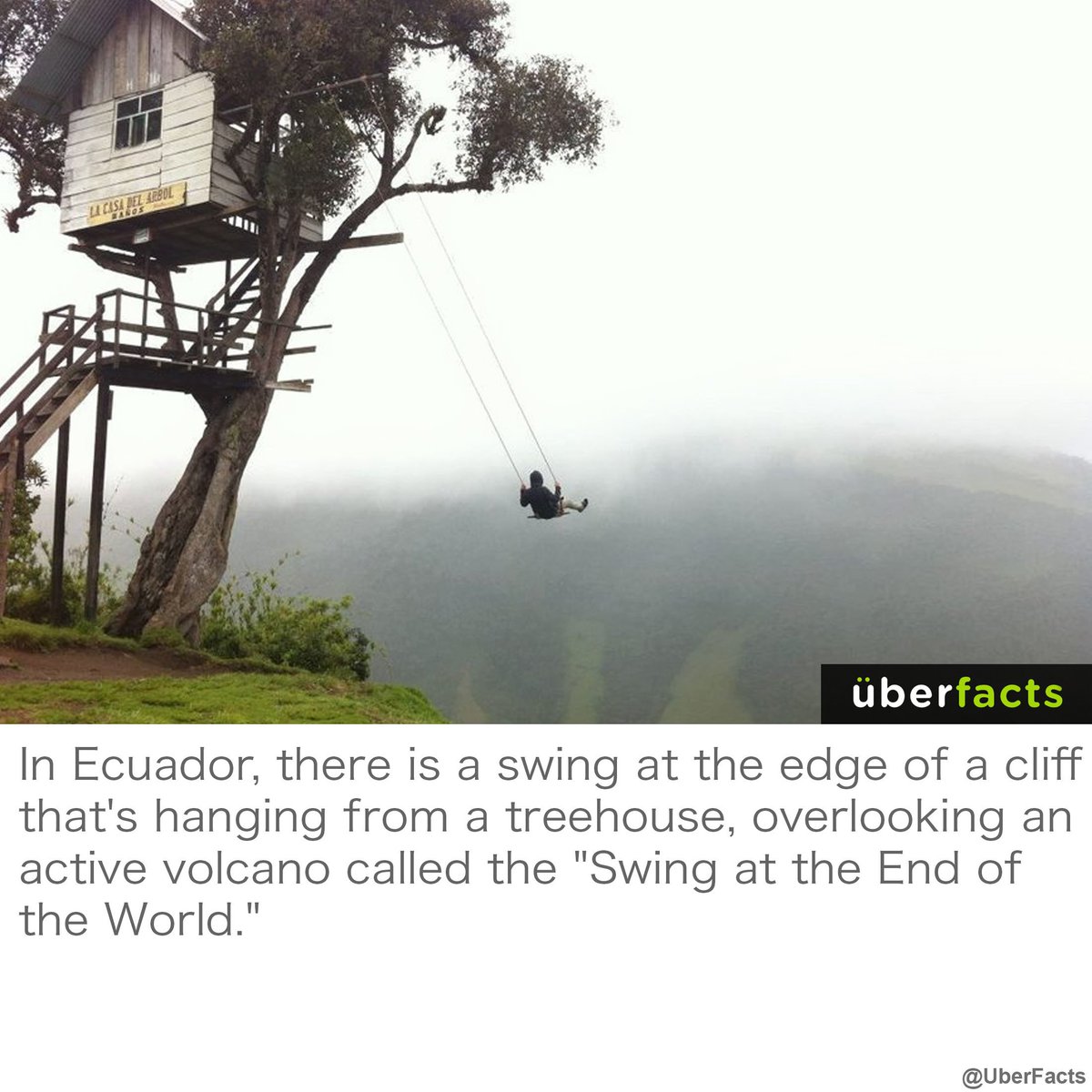 Who wants to go on a trip?