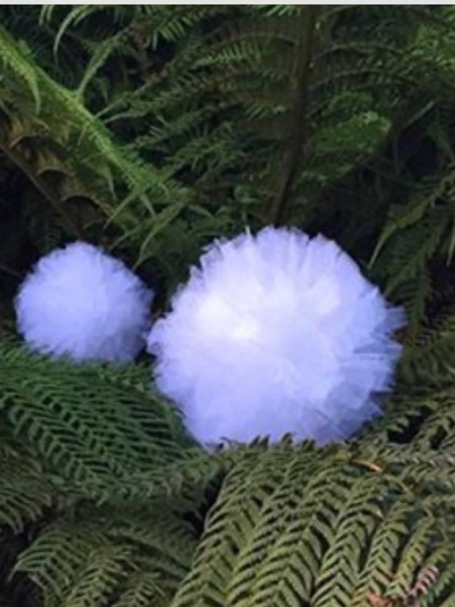 Dressmydoor's tweet photo. #wedding timeshare #pom-poms dress your #wedding #garden party #18colours reusable #durable #hanging or #garlands 👌 https://t.co/4GvtEDpfT4