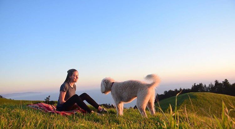 Have a good start into the day💪
And love your best friend!❤️
#dogs #LoveMyDog #wednesdaymotivation #hund #doglovers