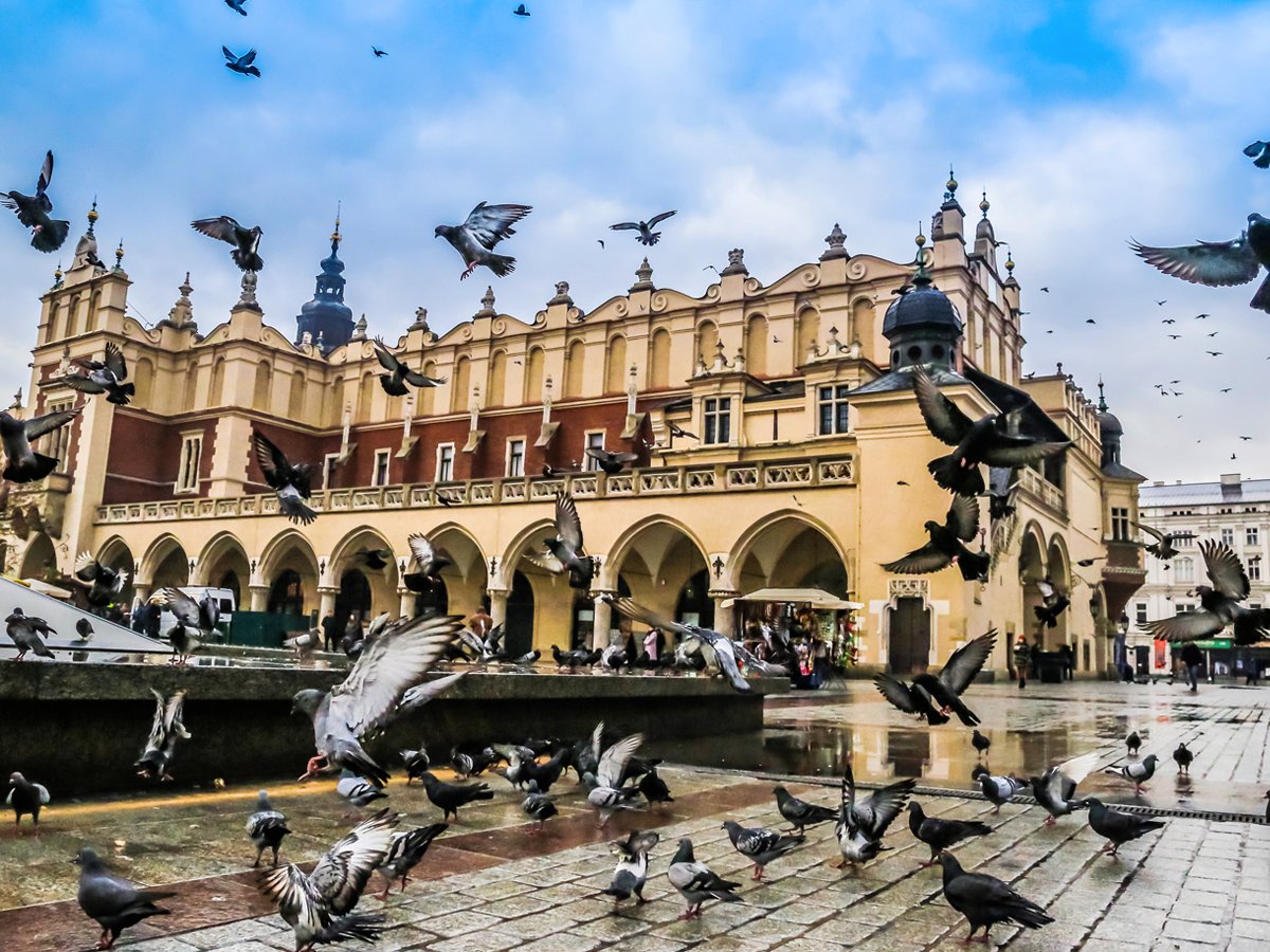 Krakau - the pearl of Poland - is a magical city to visit. Looking for a cozy place to stay? bit.ly/GeniusHotelsKr…
