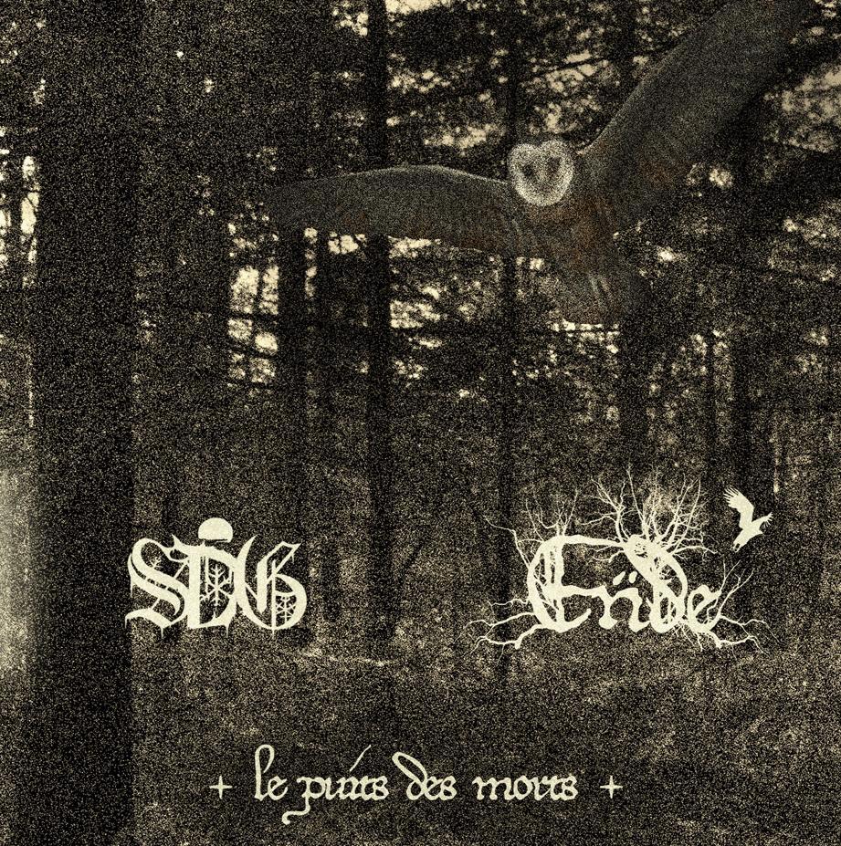 BringMTSound's tweet photo. Sorcier des Glaces/Ende : Alliance Francophone https://t.co/Xoi5WlWwt8 https://t.co/7fzOIN7ogo
