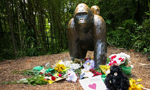 Unfortunate to hear - Cincinnati zoo deletes Twitter &amp; Facebook accounts over Harambe jokes. bit.ly/2bE7epV