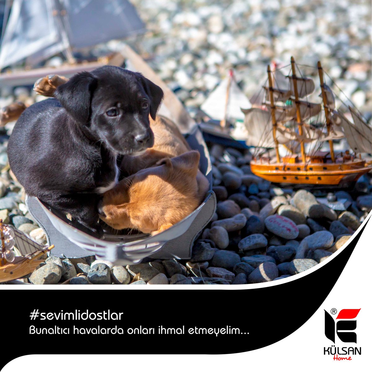 kulsanhome's tweet photo. #sevimlidostlar
Bunaltıcı havalarda onları ihmal etmeyelim..

#köpek #dog #sıcak #yaz #esmiyor #sevimli #dost #bahar https://t.co/wC0r10EA1G