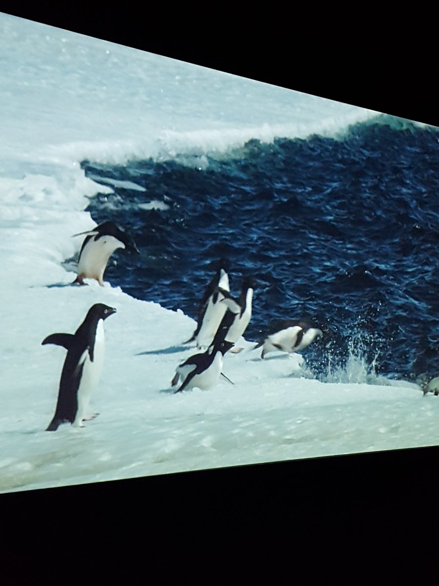 HeureuxPrince's tweet photo. Pourquoi pas se rafraîchir à l'expo Antartica ⛄⛄⛄ ?
#antartica #museedesconfluences #onlylyon #heureuxcommeunprince https://t.co/VoyYsLYYkh