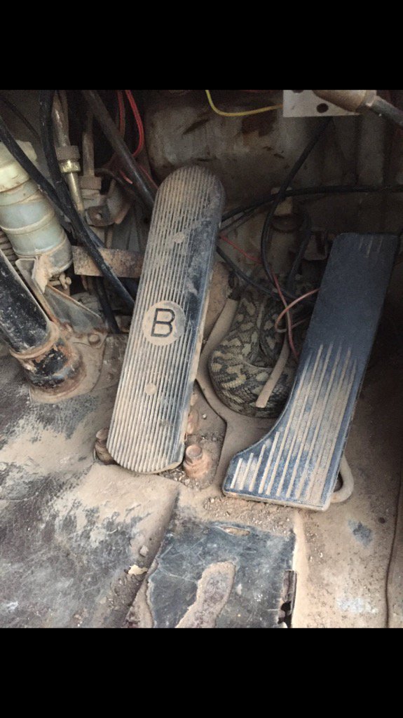 becbouta's tweet photo. Not the best thing to find when you jump in your truck! https://t.co/ML4X6J8HrQ