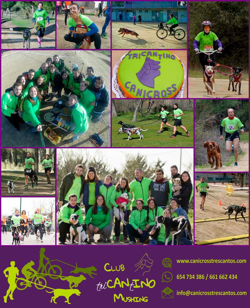 Comenzamos!! Únete a la #manadatricantina y disfruta de los mejores momentos con tu #perro en #madrid #canicross #3c