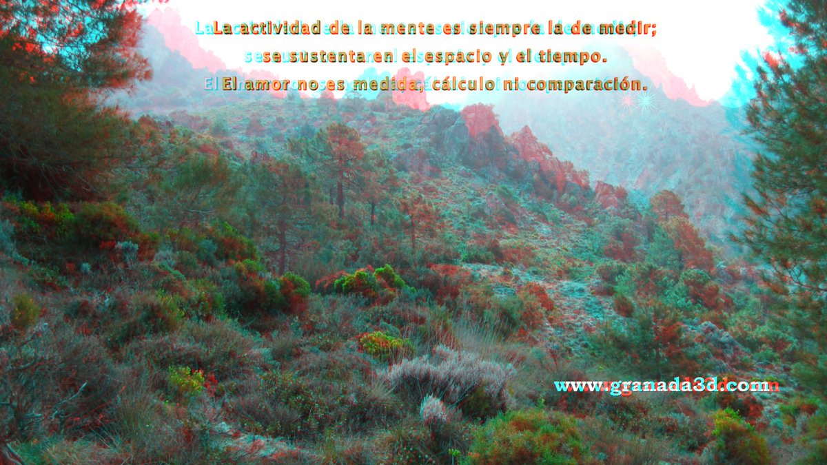 contacto3d's tweet photo. #3D #Filosofía y #Naturaleza #anáglifo #paisajes en 3D Caminos en otra Dimesión GRANADA3D Reflexiones Imagen estereo https://t.co/pCWoLJY7SW