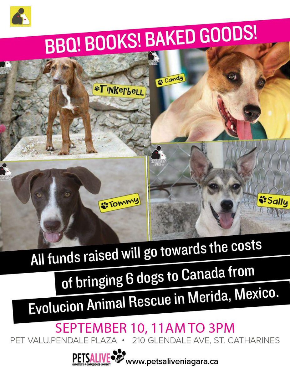 Sept 10! Come on out! #rescuedogs #rescue #dogs #fundraiser #BBQ #bakesale #booksale #adoptdontshop #savealife #pets