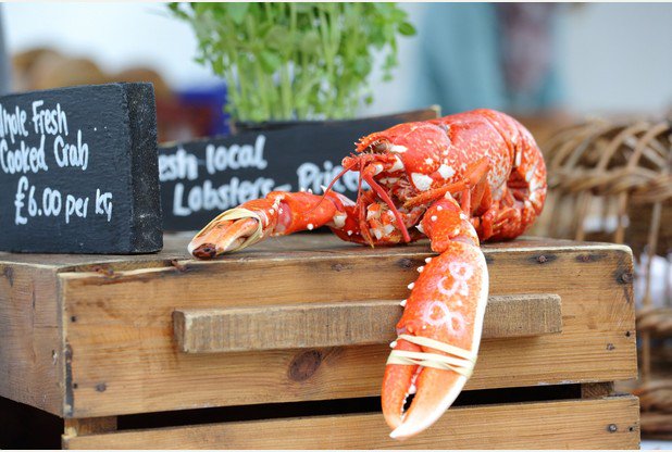 Great round up of what to expect at the <a href="/DorsetCShow/">Dorset County Show</a> on the 3-4 Sep from <a href="/bvmmagazine/">Blackmore Vale Mag</a> blackmorevale.co.uk/don-t-miss-the…