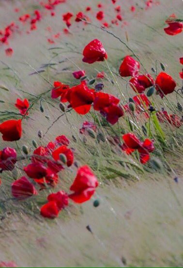 #any16/237  Jorge Luis Borges
Sobre el Tango - Musica Astor Piazzolla
youtu.be/VJqP3qsUdHo
Foto @adnz_