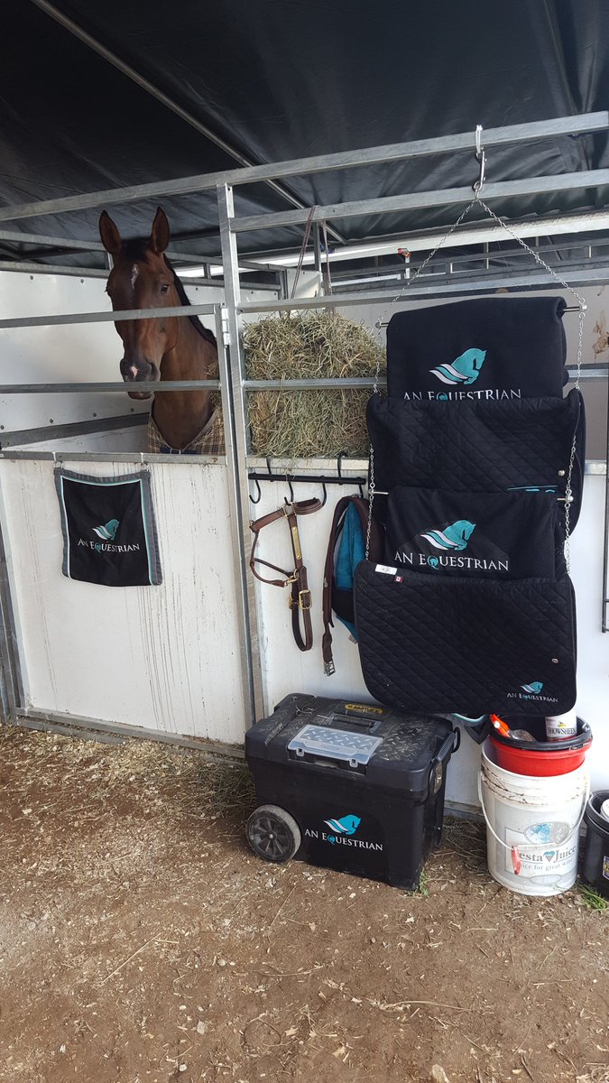 ANequestrian's tweet photo. #anequestrian everything. https://t.co/bxfRIaa6Jd