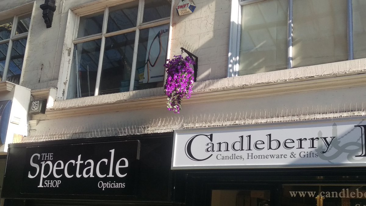 Afternoon from Candleberry Lane @ The Victorian Arcade. Xxx #barnsleyisbrill #barnsleyhour