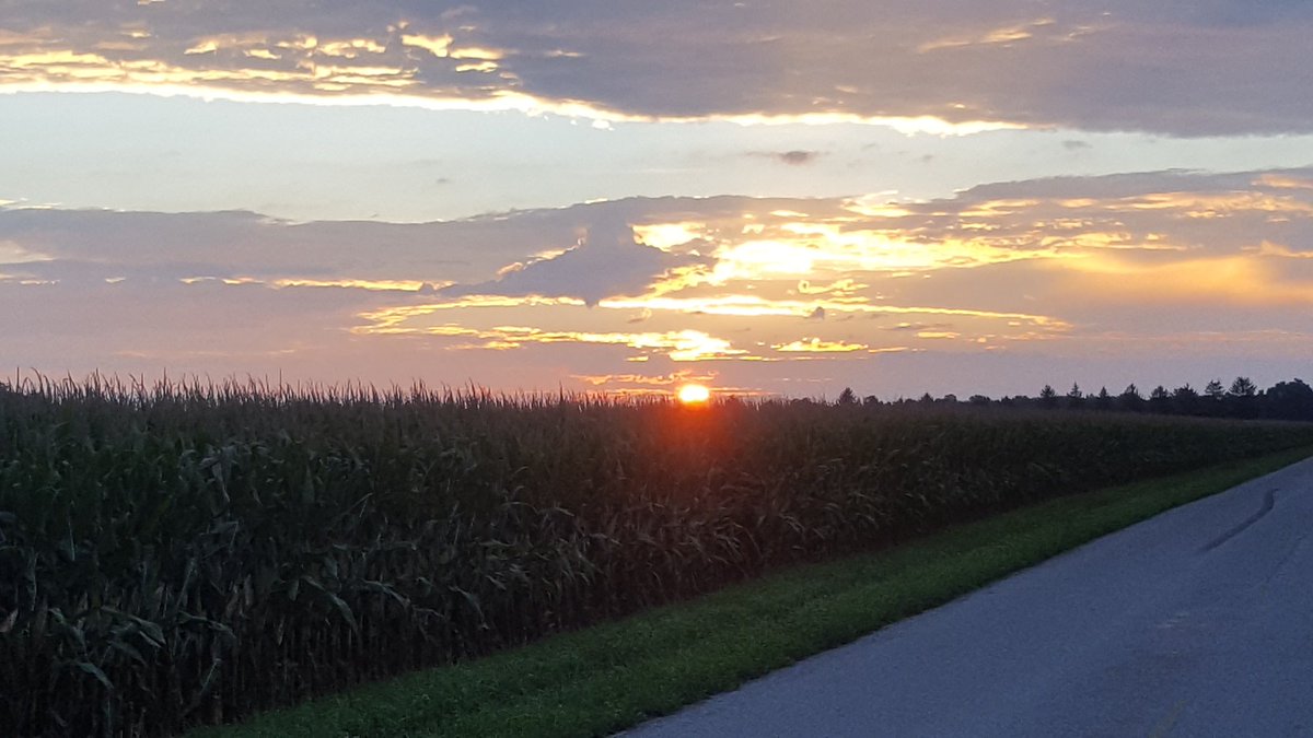 MattStraeter's tweet image. Beautiful sunrise, glowing clouds, and excellent looking corn on both sides of the road, not a bad drive to work!