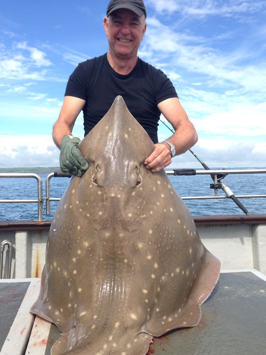 cmacangling's tweet image. On the skate now