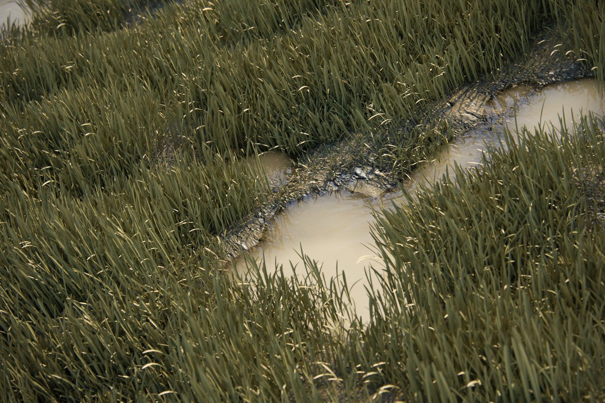 朝倉涼 Ryo Asakura En Twitter 湿地帯的なサムシング 泥水の水たまりが作り方案外悩んだ C4d Photoshop レンダラもc4d クラシックカメラ風編集も合う 朝倉涼 Ryo Asakura En Twitter 湿地帯的なサムシング 泥水の水たまりが作り方案外悩んだ C4d Photoshop レンダラもc4d クラシックカメラ風編集も合う