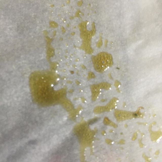 EvaKey19's tweet image. Fresh squeezed :)