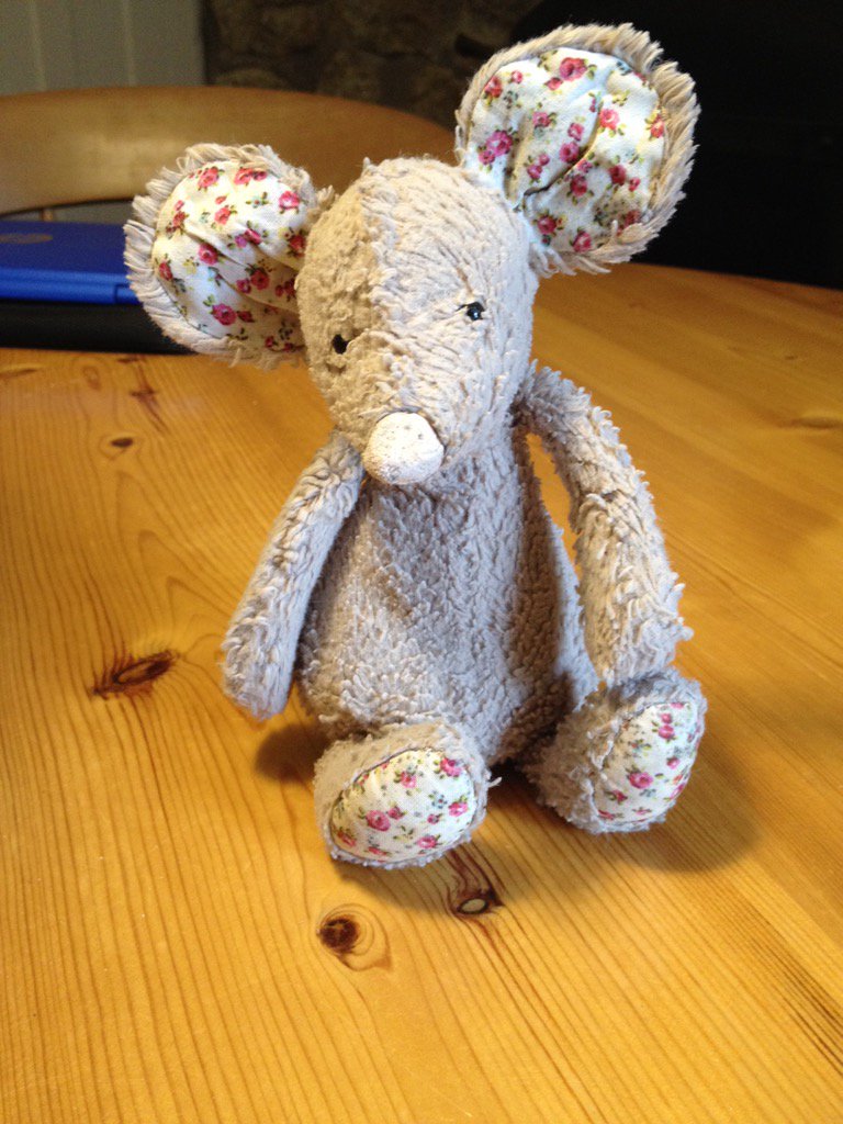 Padstowfeet's tweet photo. Made a break from goal and now washed. Looking for my owners #scilly #LostMouse https://t.co/lGQrRwnKOD