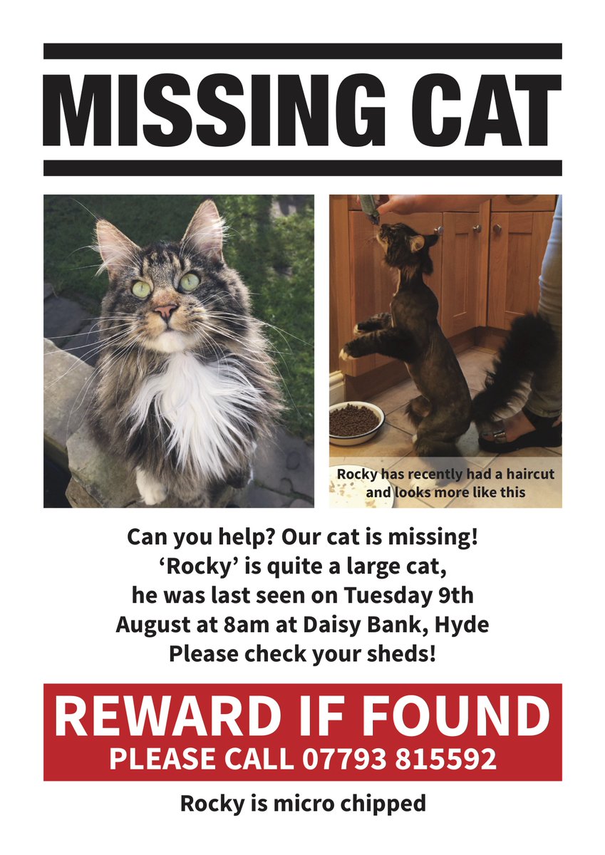 HelpUsFindRocky's tweet photo. @harmonydecorsk6 please #HelpUsFindRocky &amp; post this to your followers 🙏🏼😿💔#MaineCoon #Missing #Hyde #Manchester https://t.co/Pdk2ylNIV7