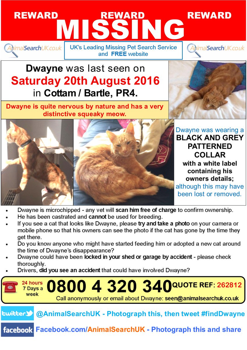 AnimalSearchUK's tweet photo. PLS RT @BBCLancashire @leponline #missingcat #preston #pr4 #finddwayne https://t.co/Ln0COUW4pJ https://t.co/JiZoGdv8v5