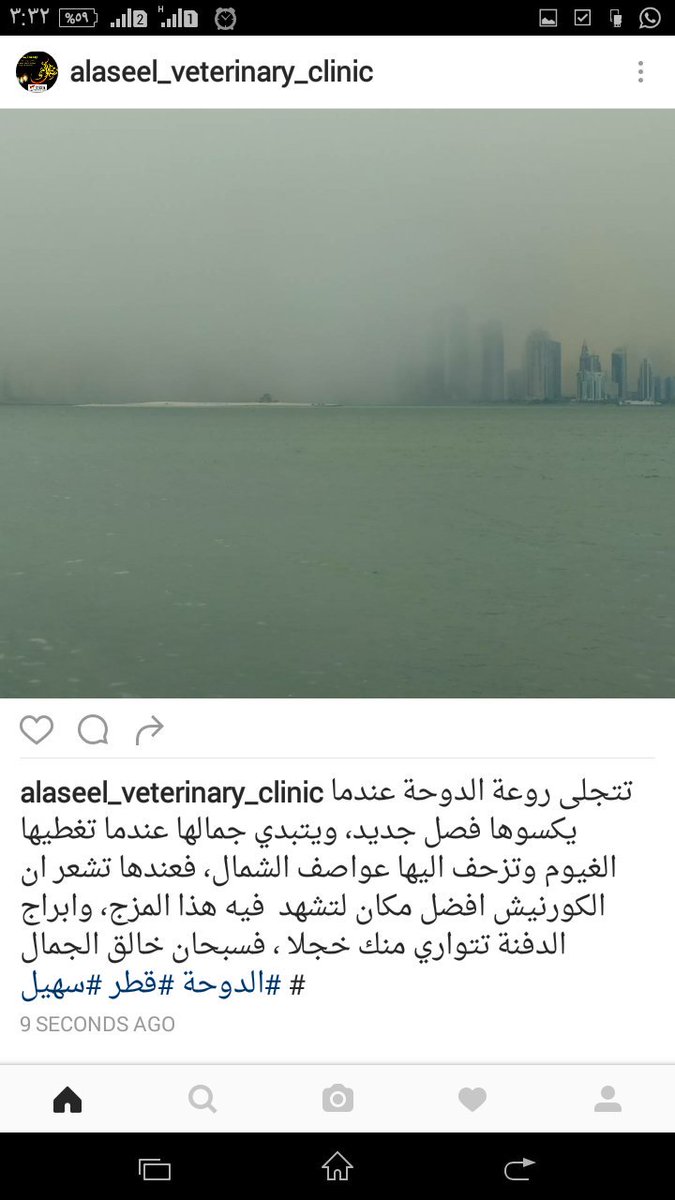الاصيل البيطرية (@fangama83) on Twitter photo 