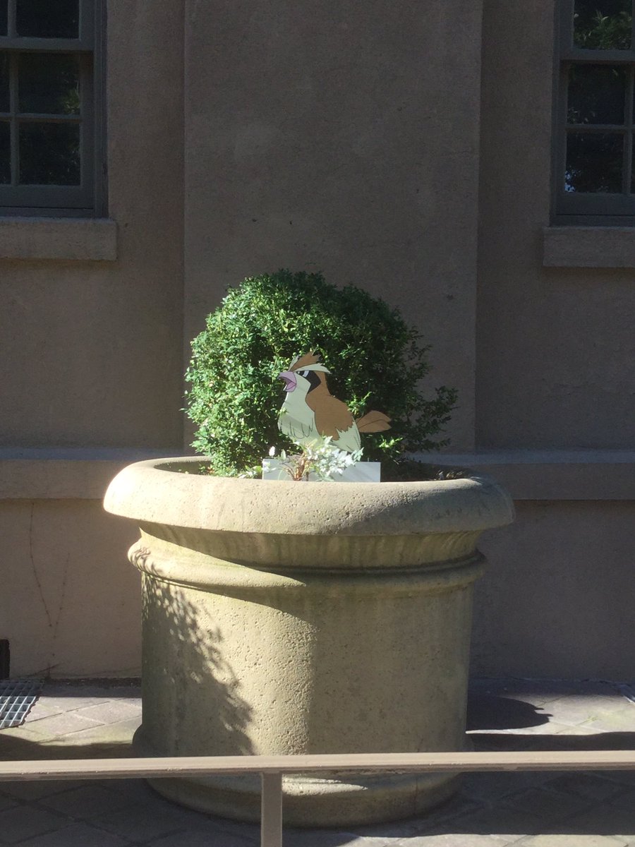 QCToday's tweet photo. There are @Pokemon on campus! There are 12 on the Quad. How many can you find? Tag us in your Pokemon photos! #qcwd https://t.co/7iAgqxlim6
