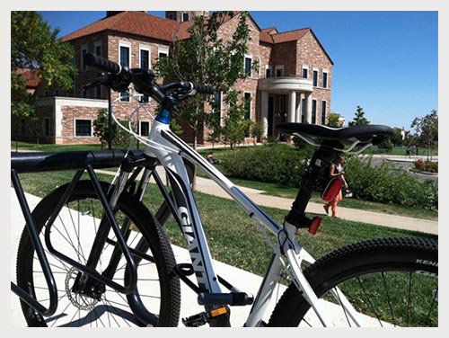 nowletsgobiking's tweet photo. Finding The Best #U_Lock For #Bikes
https://t.co/WuVFgkmT9o https://t.co/W0n2mAa2EI
