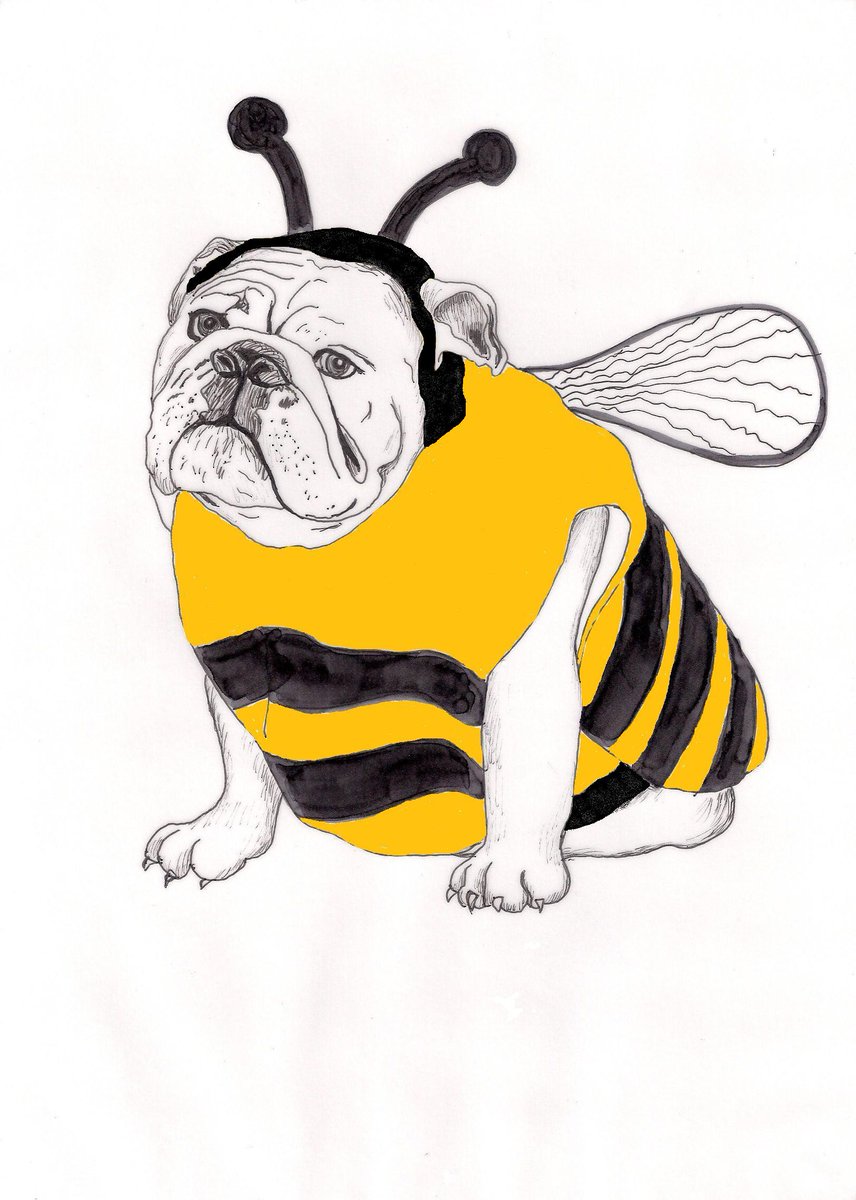 emmylouscutt's tweet image. Dogs in costumes - pics now up on my website: littleangelsmurals.co.uk/page4.htm  #dogs #prints #embarrasseddogs