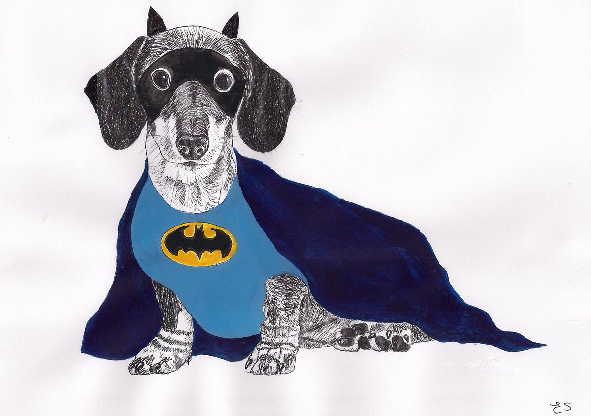 emmylouscutt's tweet image. Dogs in costumes - pics now up on my website: littleangelsmurals.co.uk/page4.htm  #dogs #prints #embarrasseddogs